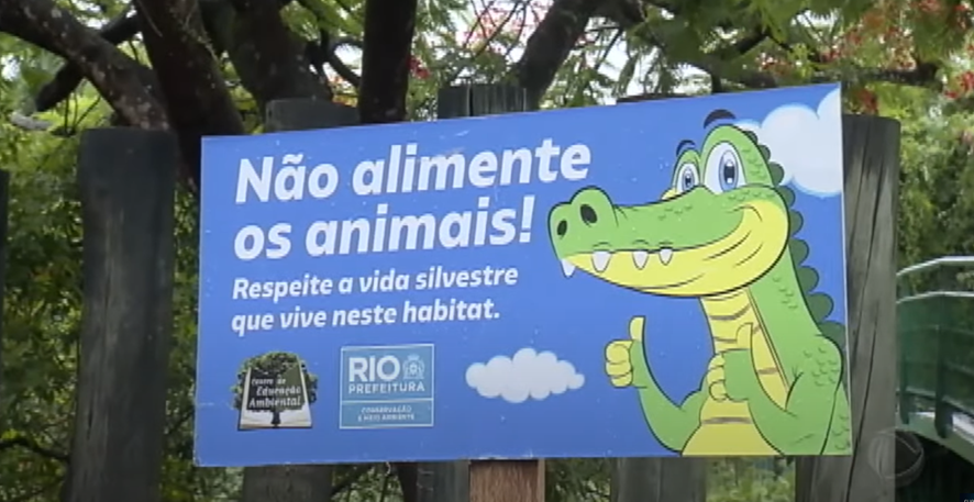 Jacaré aparece em uma passarela no Terminal Alvorada no Rio de Janeiro