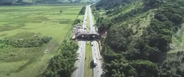 viaduto vegetado